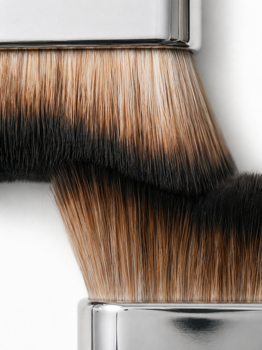 body brush