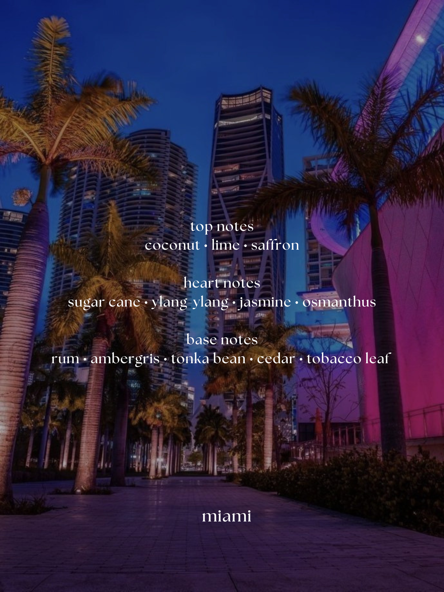 sKIn x miami city rhythm | fragrance body oil